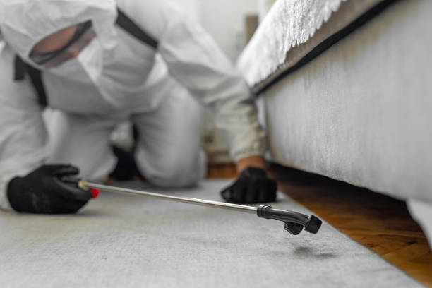 Professional Pest Control technician working in Aurora, OH