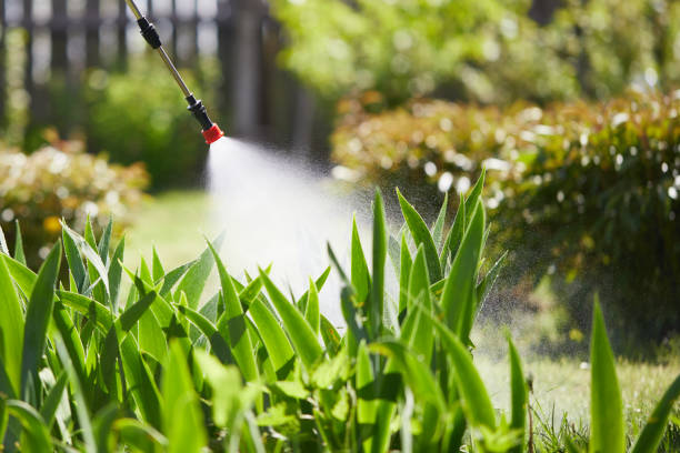 24/7 Emergency Pest Control experts in Aurora, OH