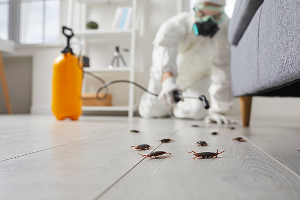Affordable Pest Control solutions in Aurora, OH